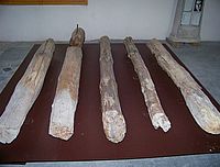 Les poteaux d'exécution