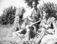 Trois jeunes maquisards bretons armés.